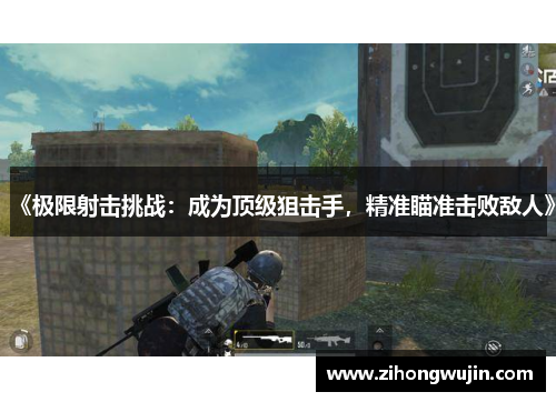 《极限射击挑战：成为顶级狙击手，精准瞄准击败敌人》